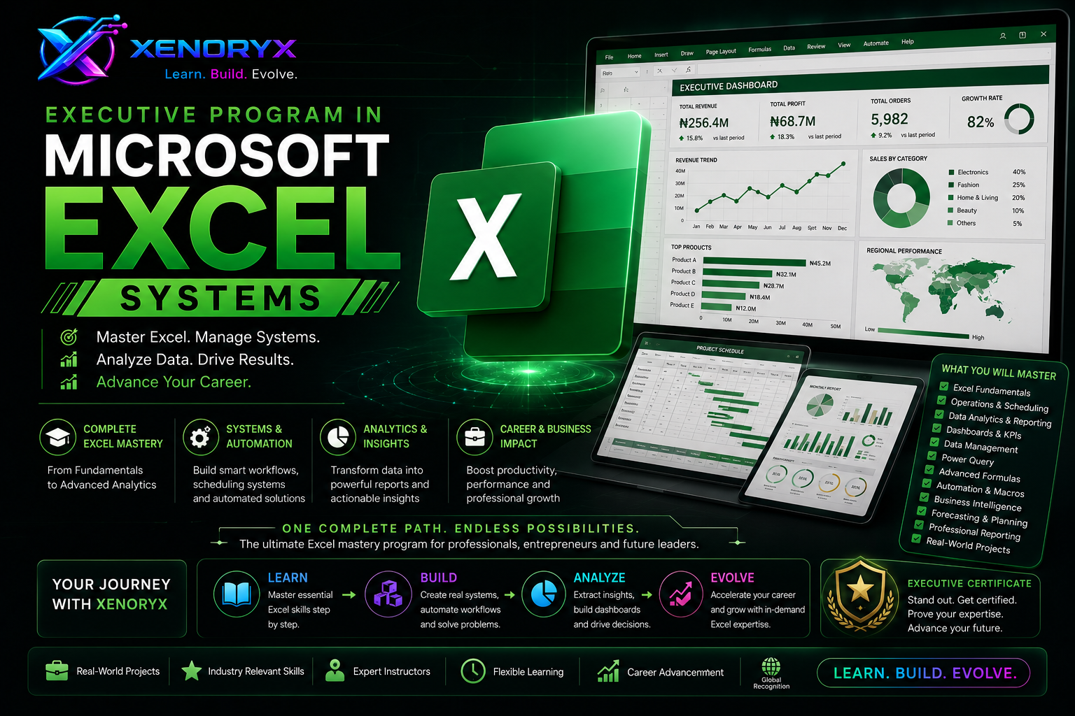 Executive Program in Microsoft Excel Systems